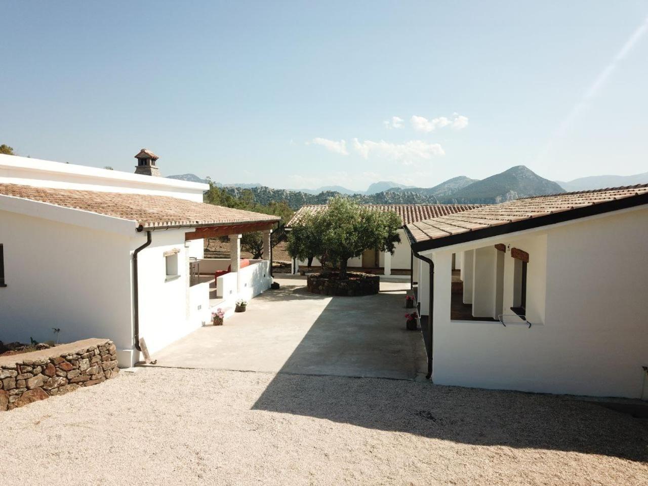 Agriturismo Sa Murta Villa Dorgali Exterior photo