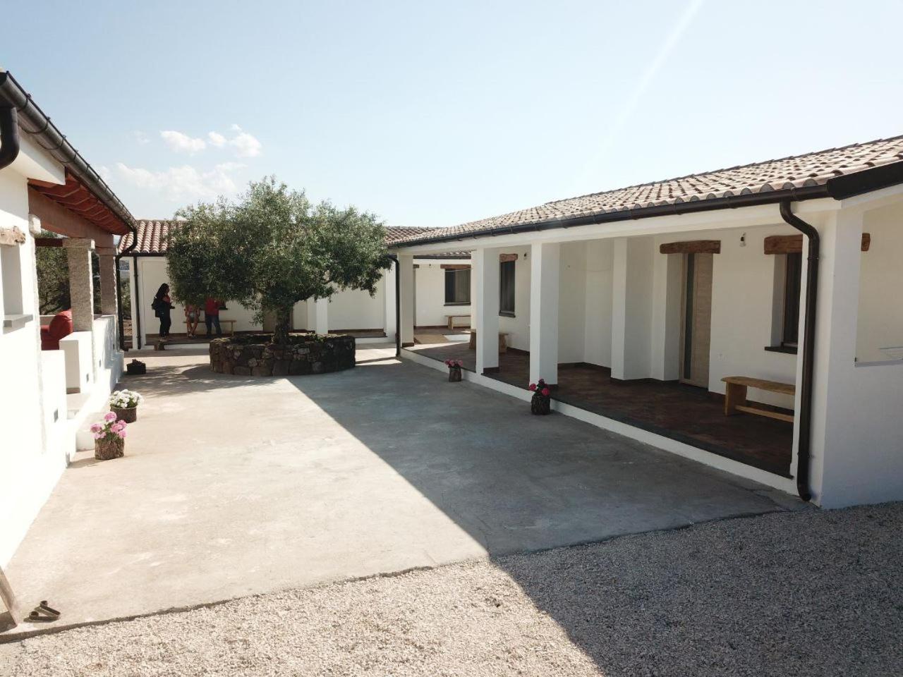 Agriturismo Sa Murta Dorgali Exterior photo
