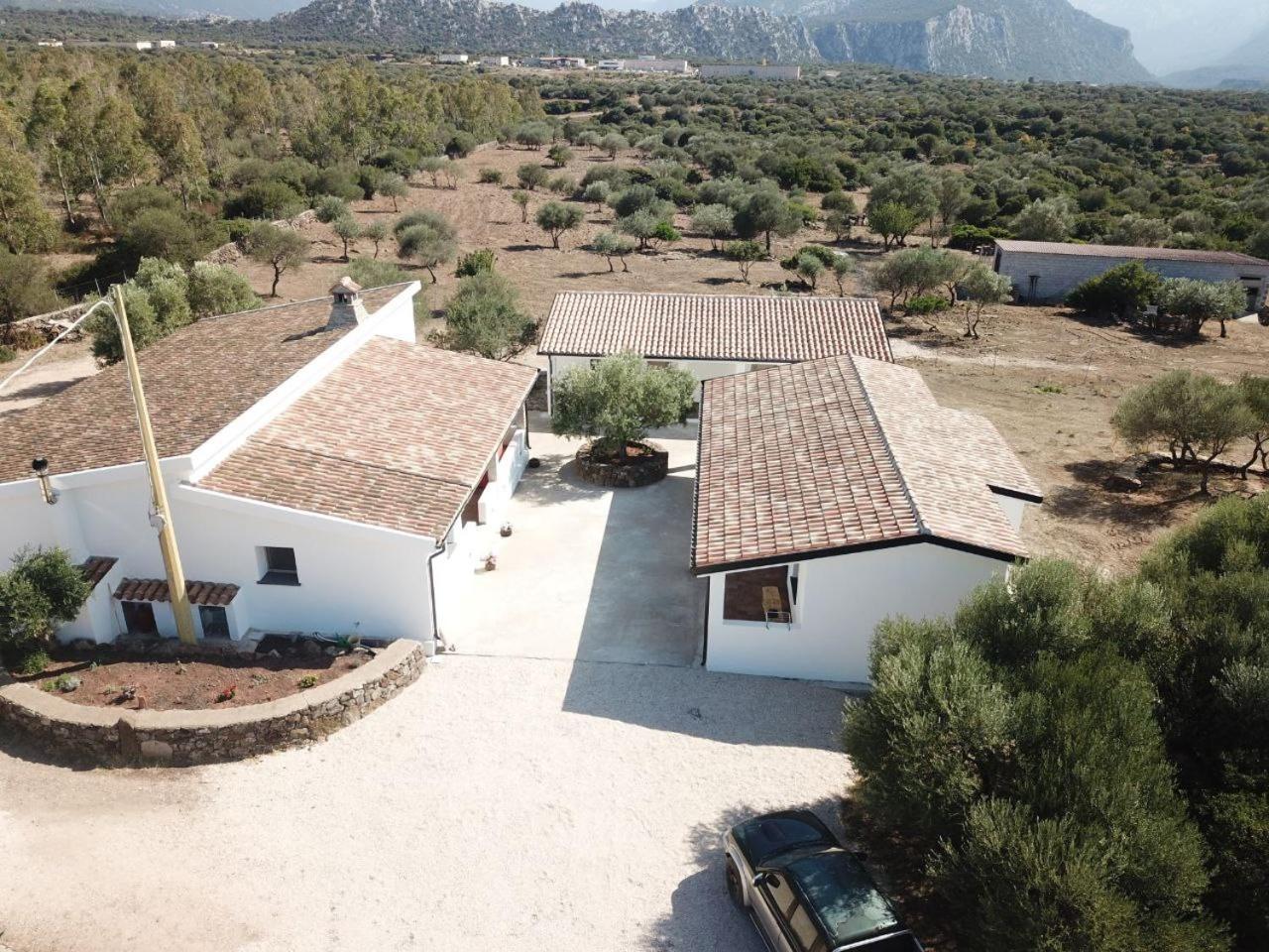 Agriturismo Sa Murta Dorgali Exterior photo