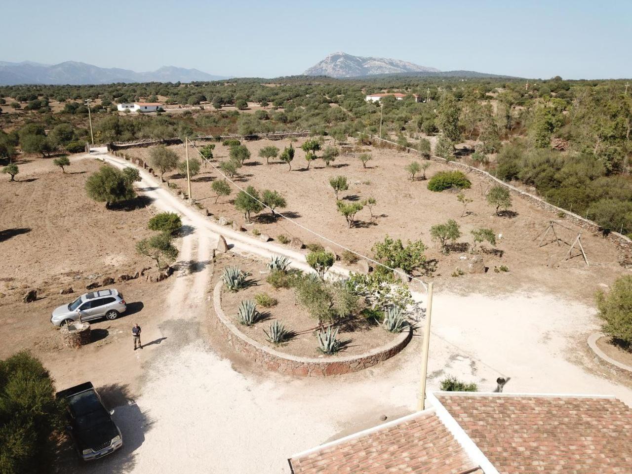 Agriturismo Sa Murta Dorgali Exterior photo