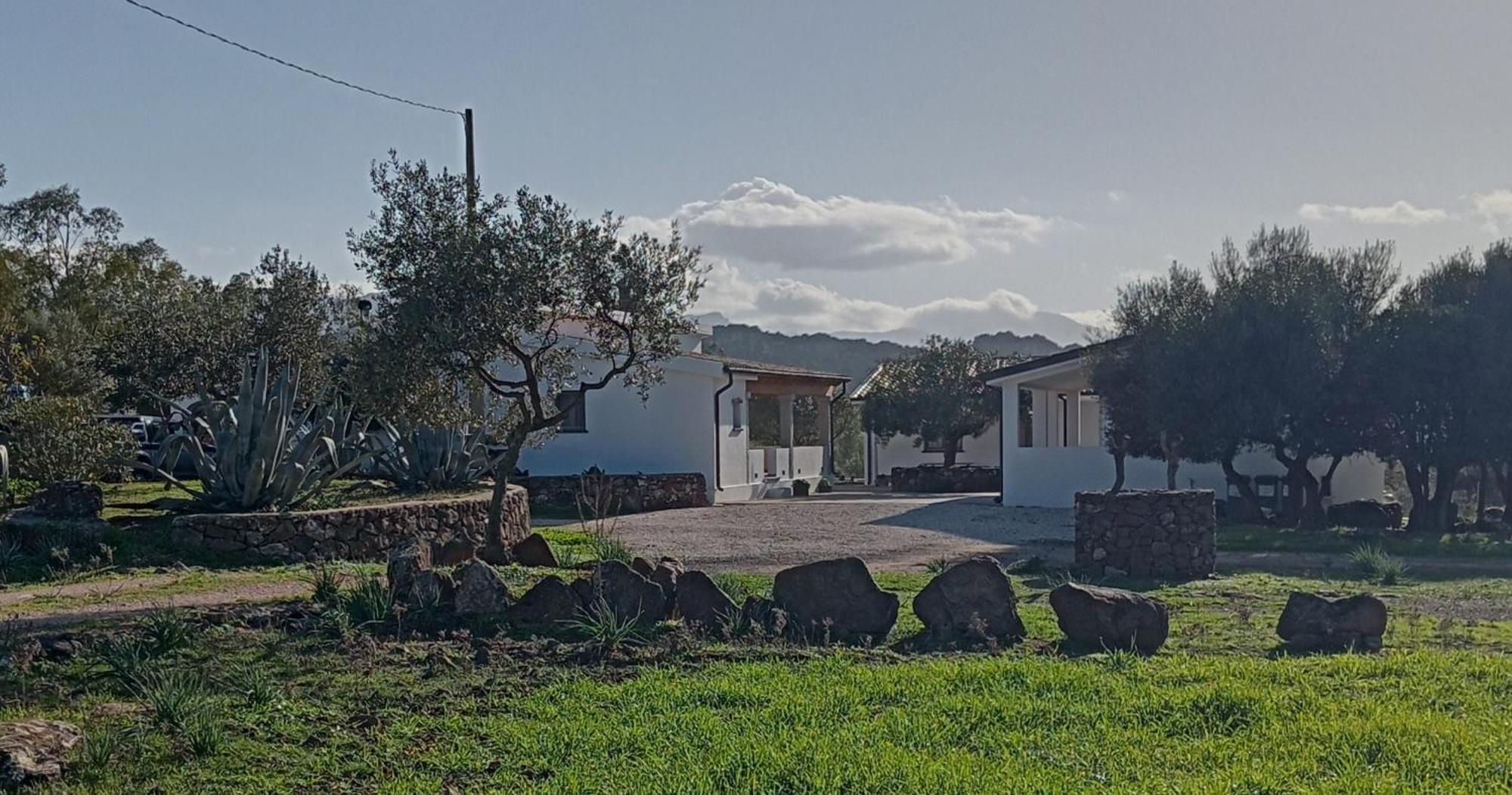 Agriturismo Sa Murta Dorgali Exterior photo